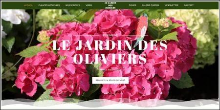 LE JARDIN DES OLIVIERS